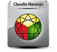 Logo enneagramma di Claudio Naranjo